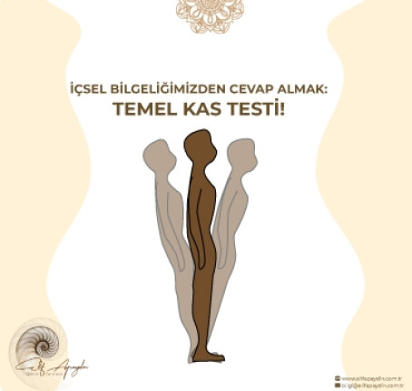 İÇSEL BİLGELİĞİMİZDEN CEVAP ALMAK: TEMEL KAS TESTİ